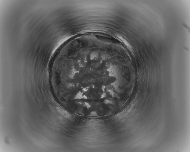 X0000091190779200708161550