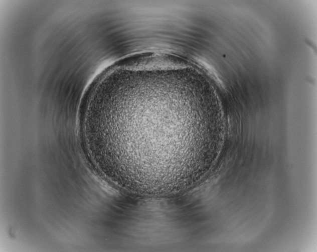 X0000091190780200708161550