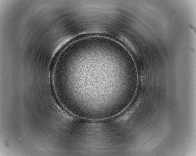 X0000091190781200708161550