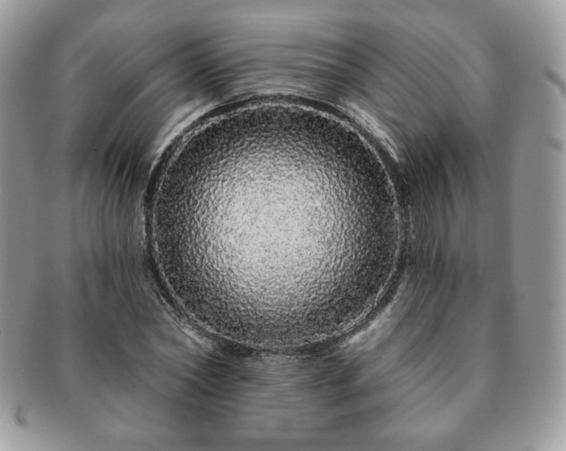 X0000091190782200708161550