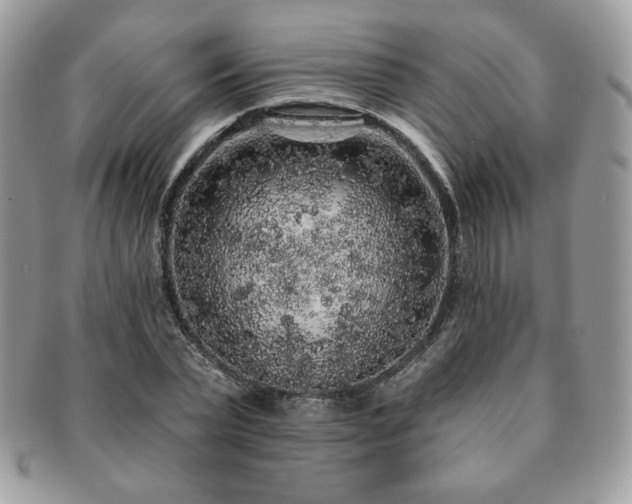 X0000091190783200708161549