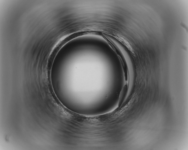 X0000091190784200708161549
