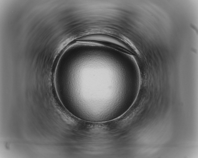 X0000091190786200708161549