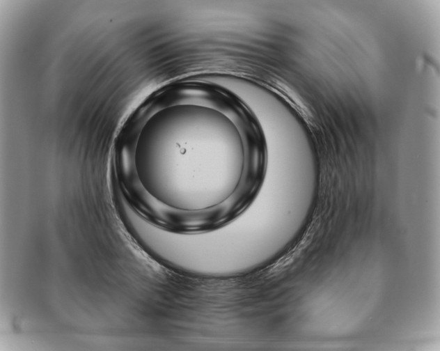 X0000091190788200708161549