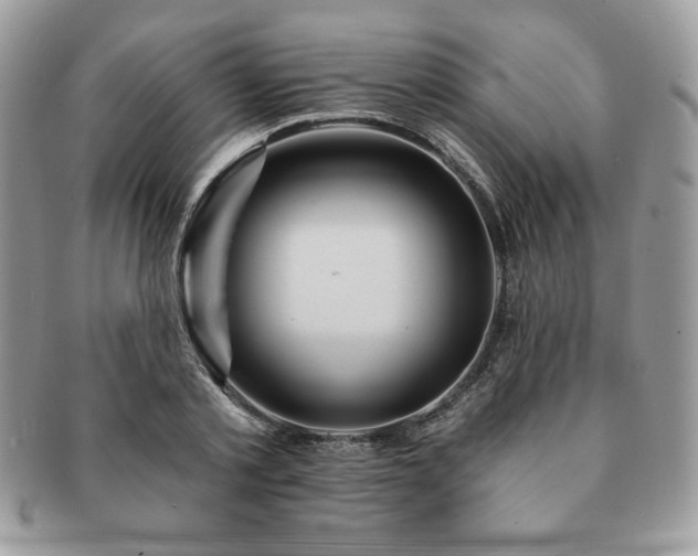 X0000091190789200708161549
