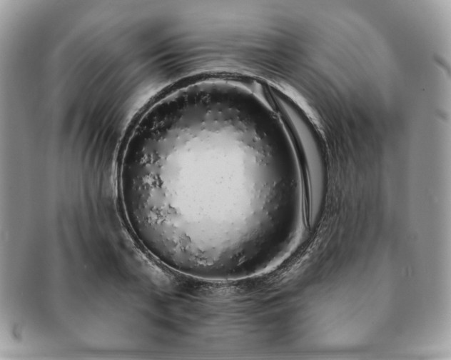 X0000091190791200708161549