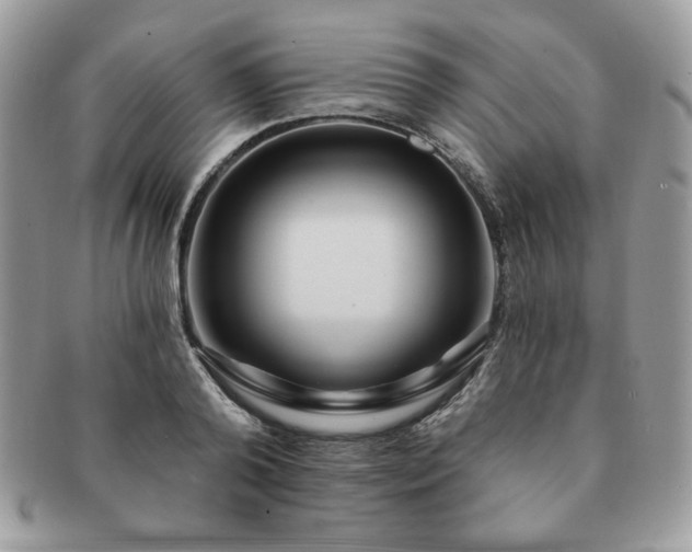 X0000091190792200708161549