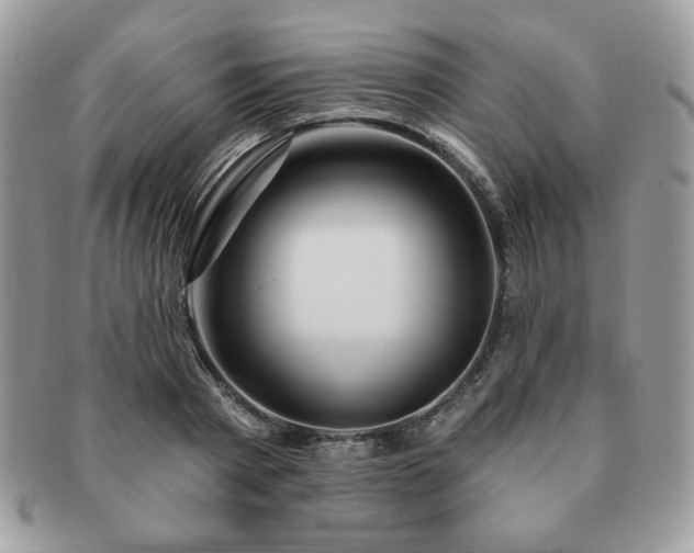 X0000091190793200708161549