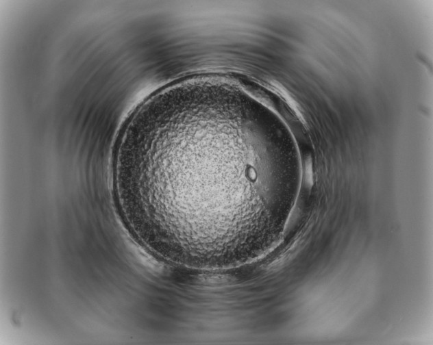 X0000091190795200708161549