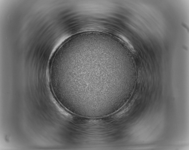 X0000091190796200708161549