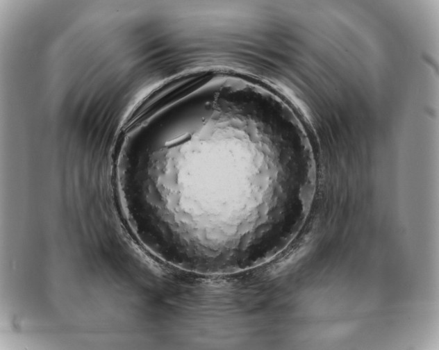 X0000091190799200708161549
