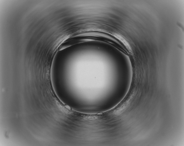 X0000091190801200708161549