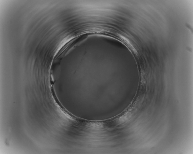 X0000091190802200708161549