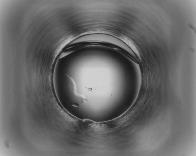 X0000091190805200708161549