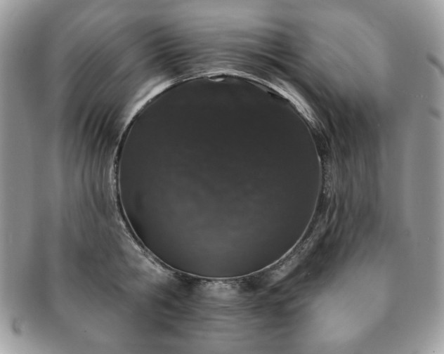 X0000091190806200708161549