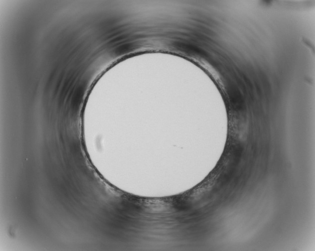 X0000091190807200708161549