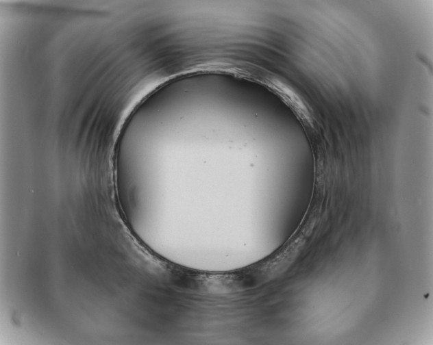 X0000091190808200708161549