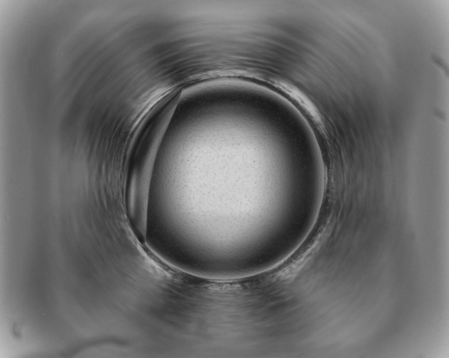 X0000091190809200708161549