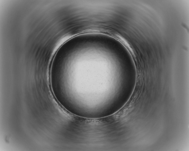 X0000091190811200708161549