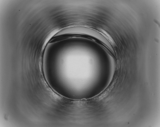 X0000091190812200708161549