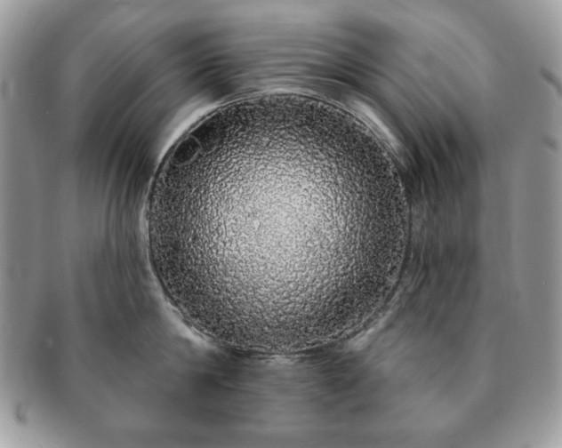 X0000091190814200708161549