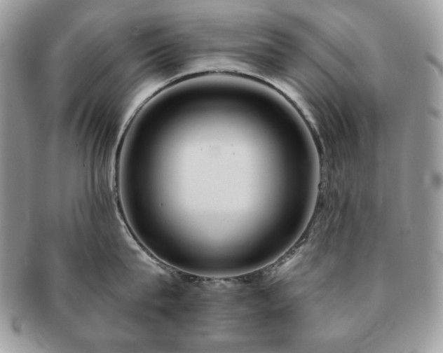 X0000091190815200708161549