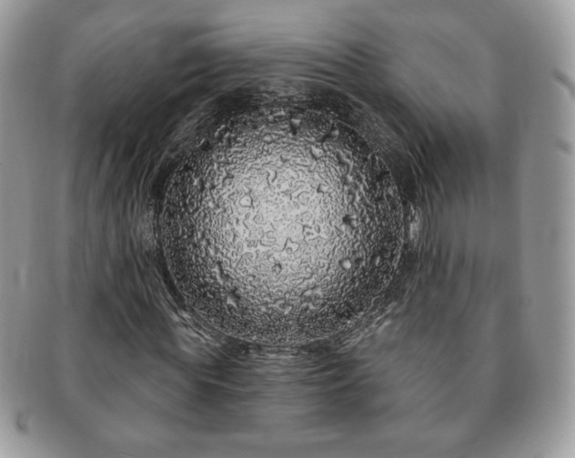 X0000091190819200708161548