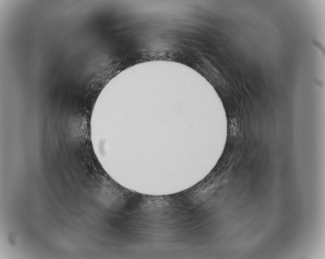 X0000091190820200708161548