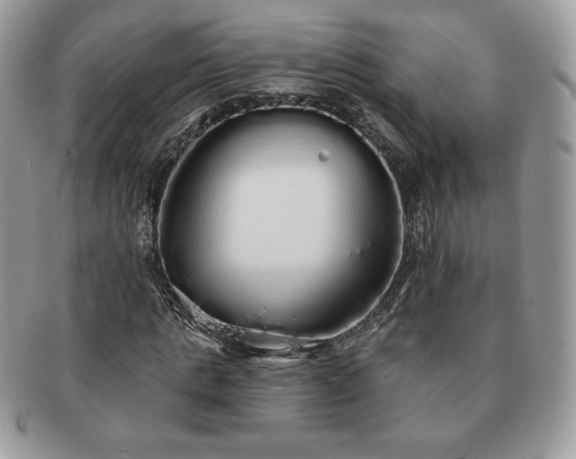 X0000091190821200708161548