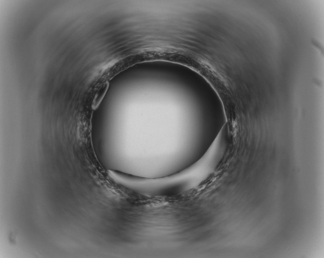 X0000091190822200708161548