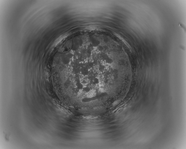 X0000091190823200708161548