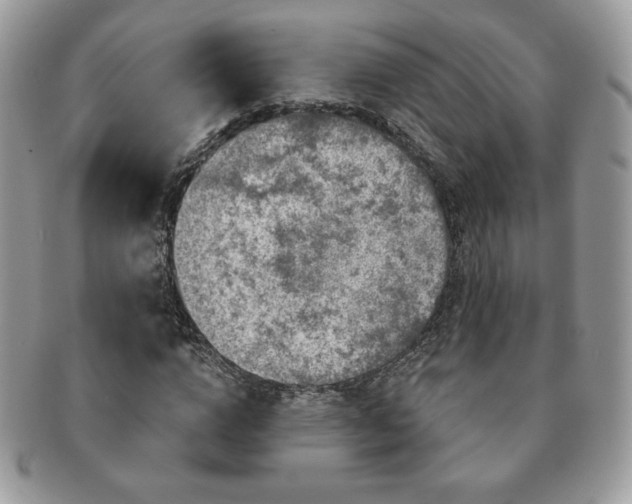 X0000091190824200708161548