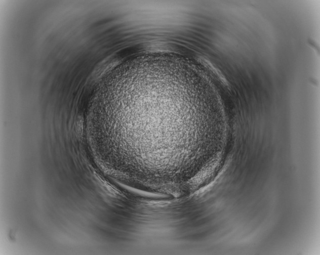 X0000091190825200708161548