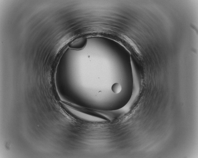 X0000091190826200708161548