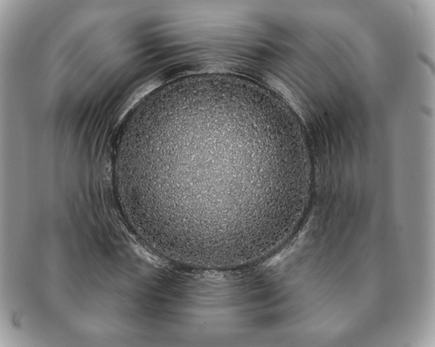 X0000091190827200708161548