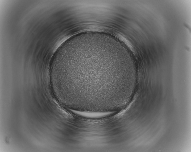 X0000091190829200708161548