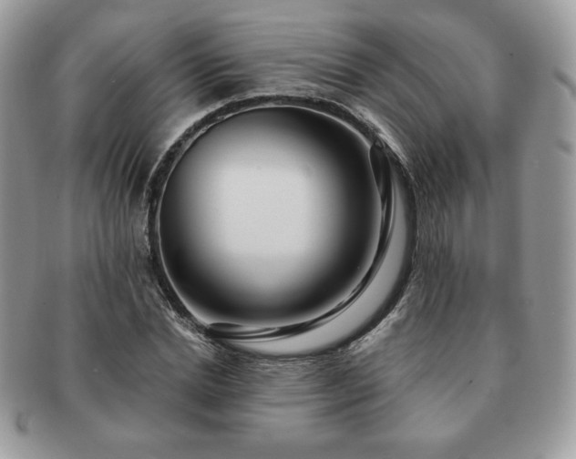 X0000091190830200708161548