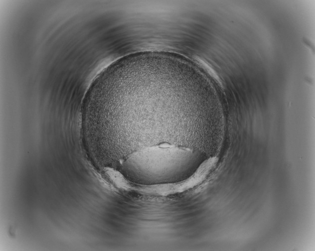 X0000091190831200708161548