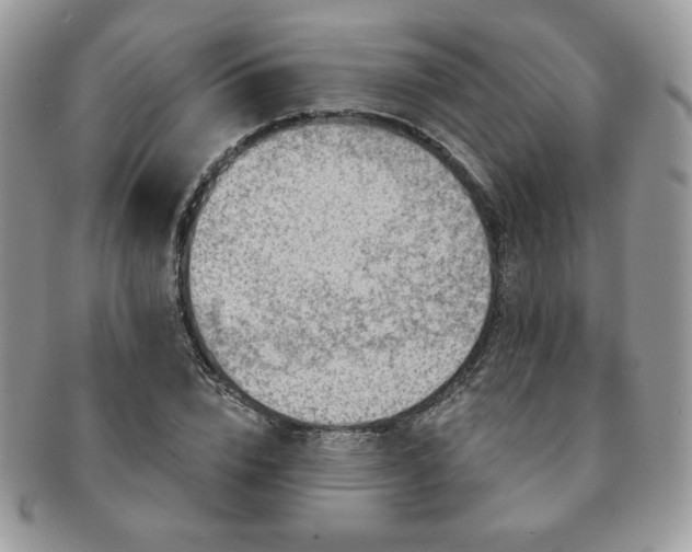 X0000091190832200708161548