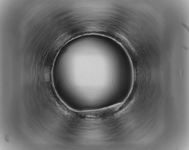 X0000091190833200708161548