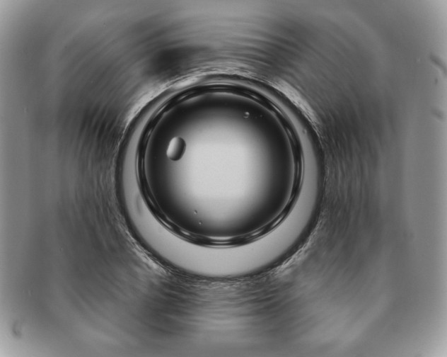 X0000091190834200708161548