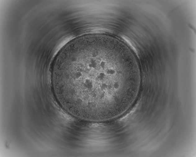 X0000091190835200708161548