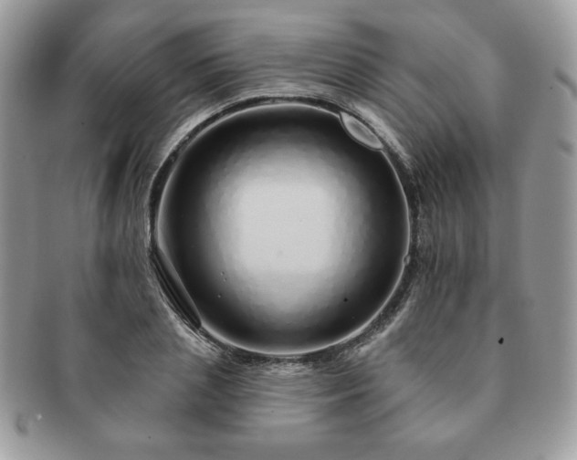 X0000091190837200708161548