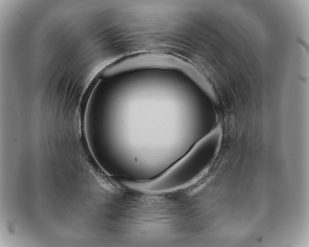 X0000091190838200708161548