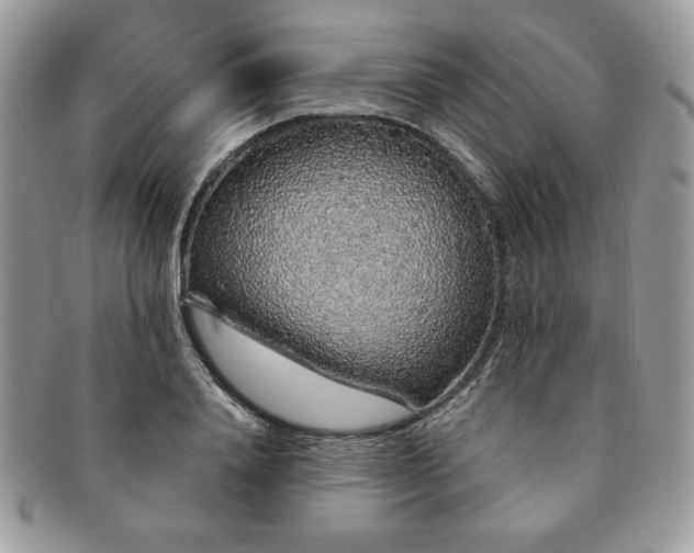X0000091190840200708161549