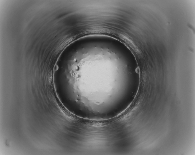 X0000091190841200708161549