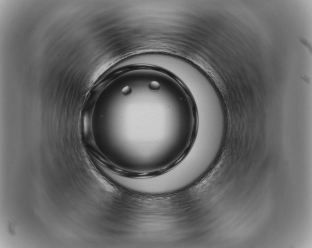 X0000091190842200708161549