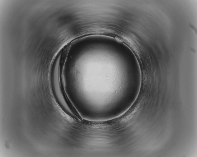 X0000091190843200708161549