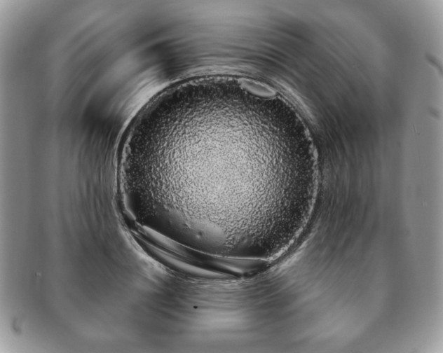 X0000091190844200708161549