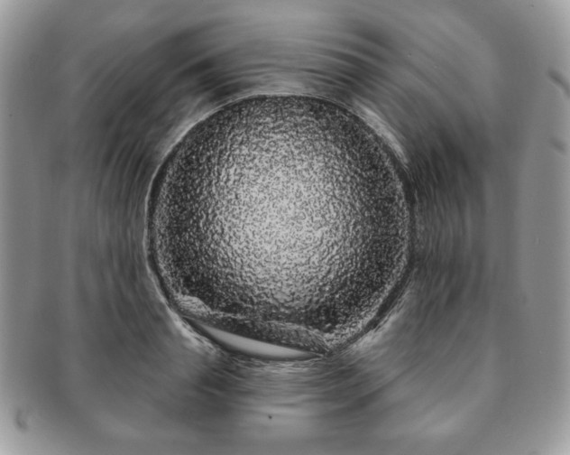 X0000091190845200708161549